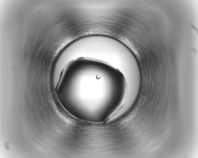 X0000093250530200710241316