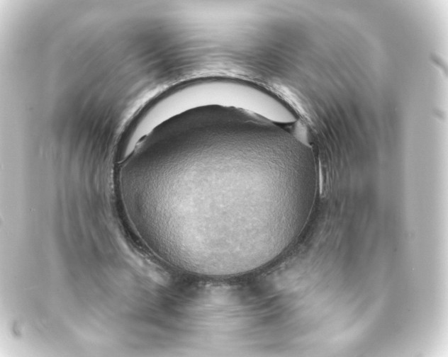 X0000093250531200710241316