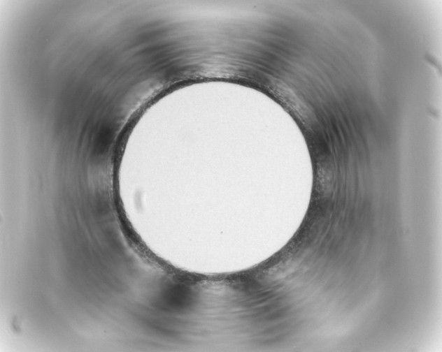 X0000093250534200710241316