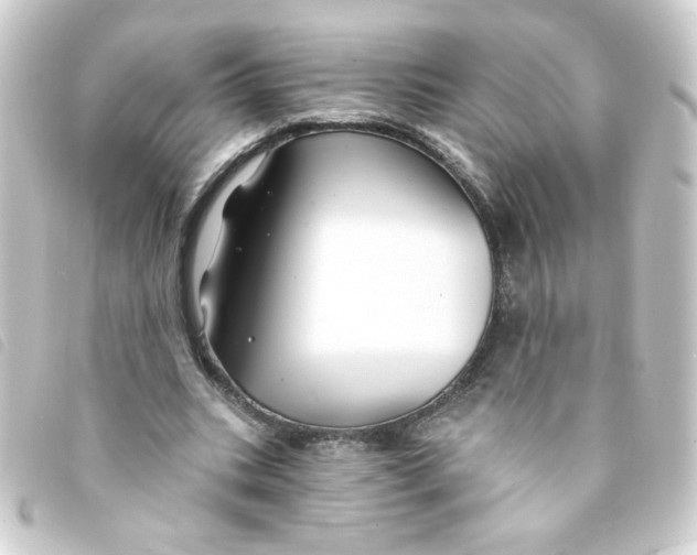 X0000093250535200710241316