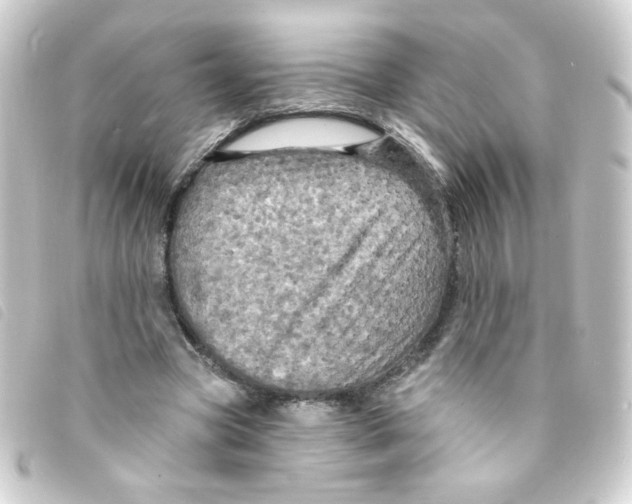 X0000093250537200710241316