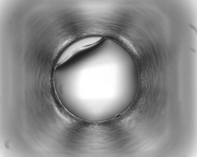 X0000093250538200710241316