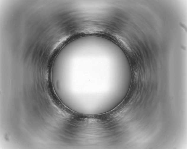 X0000093250539200710241316