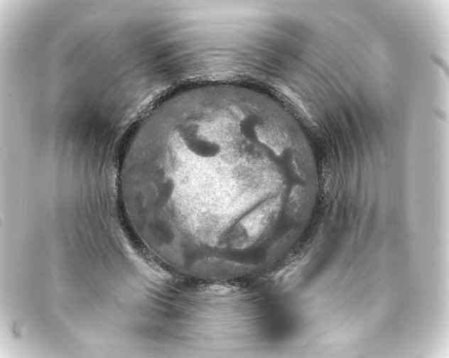 X0000093250542200710241316