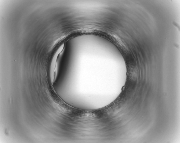 X0000093250543200710241316
