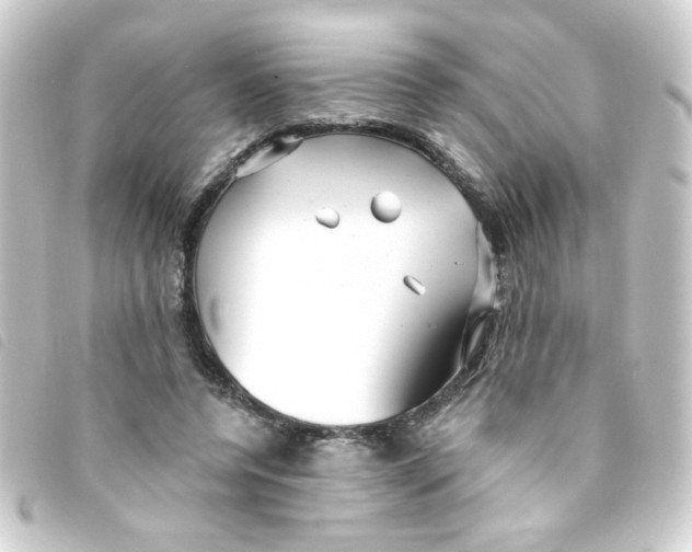 X0000093250544200710241316
