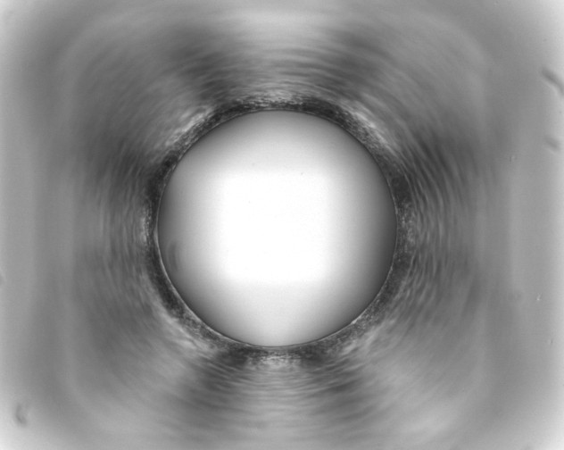 X0000093250546200710241316
