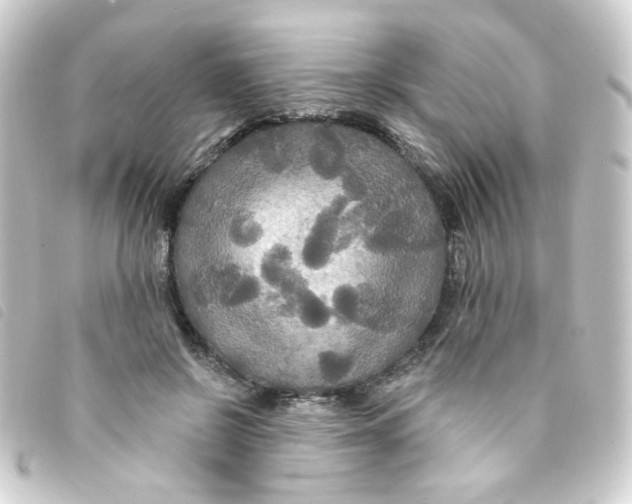 X0000093250550200710241316