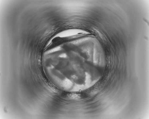 X0000093250553200710241316