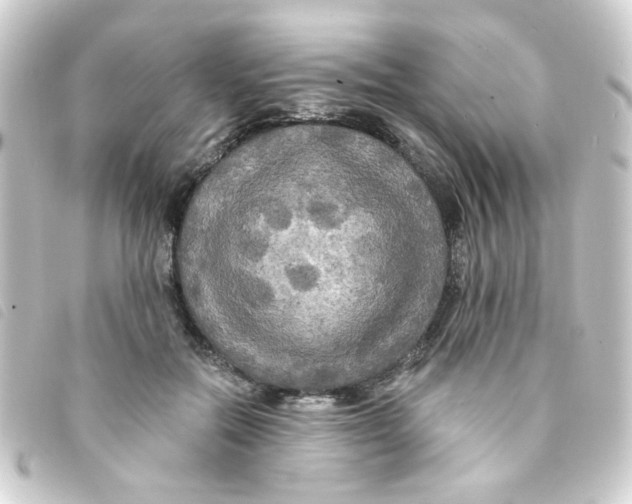 X0000093250554200710241316
