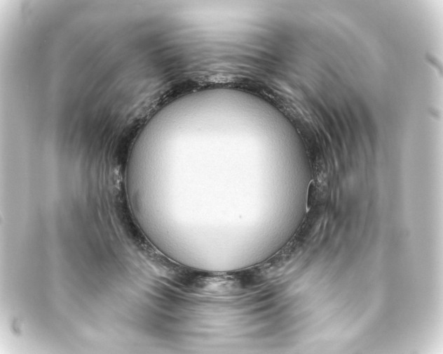 X0000093250555200710241316