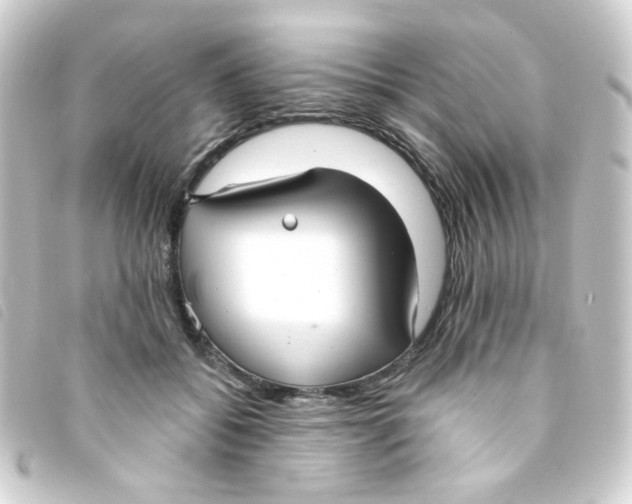 X0000093250556200710241316