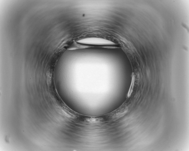 X0000093250558200710241316