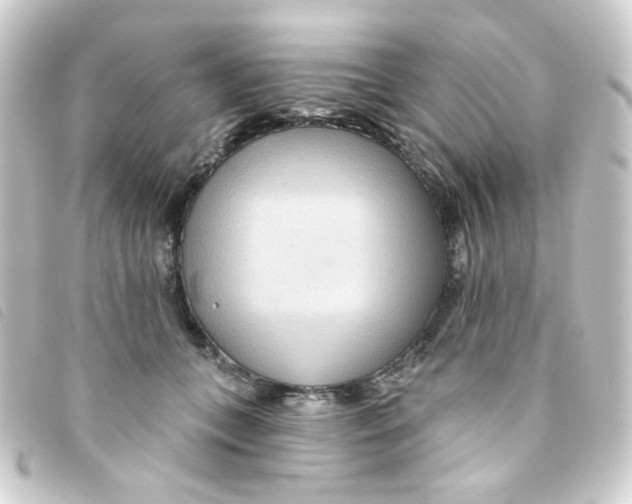 X0000093250559200710241316