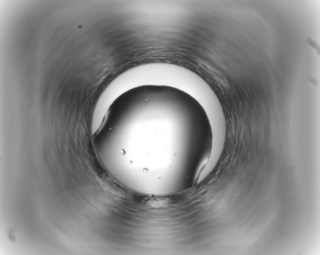 X0000093250560200710241316