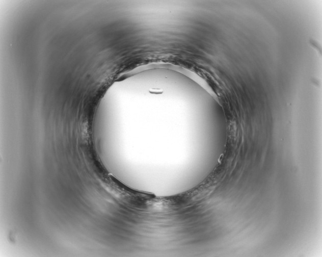 X0000093250564200710241316