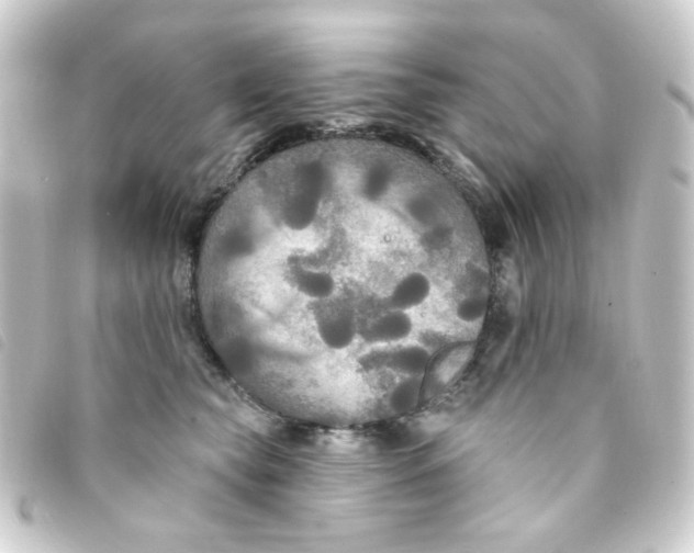 X0000093250565200710241316
