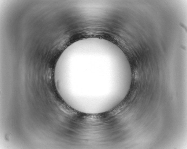 X0000093250567200710241316