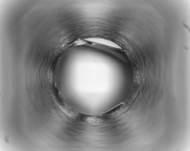X0000093250568200710241316