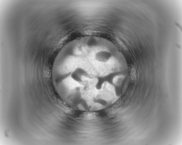 X0000093250569200710241316