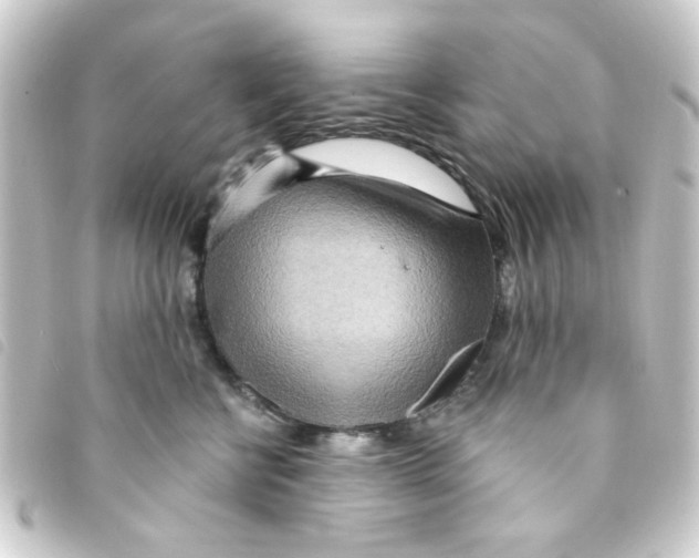 X0000093250570200710241316