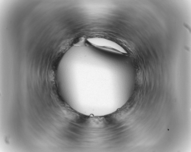 X0000093250571200710241316