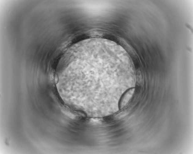 X0000093250573200710241316