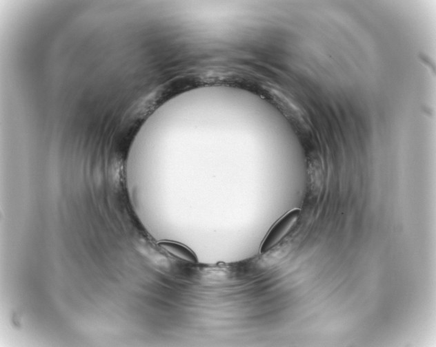 X0000093250574200710241316