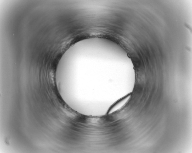 X0000093250575200710241317
