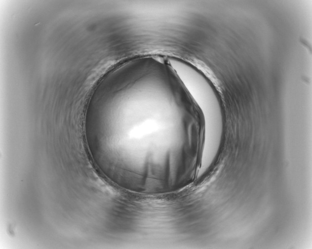 X0000093250577200710241316