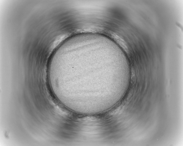 X0000093250578200710241316
