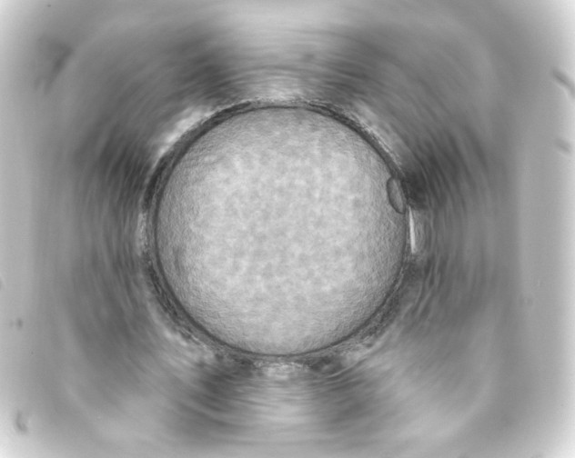 X0000093250579200710241316
