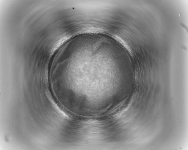 X0000093250581200710241316