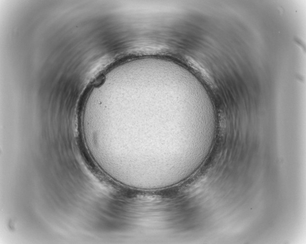 X0000093250582200710241316