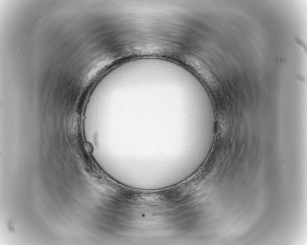 X0000093250583200710241316