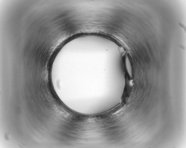 X0000093250584200710241316