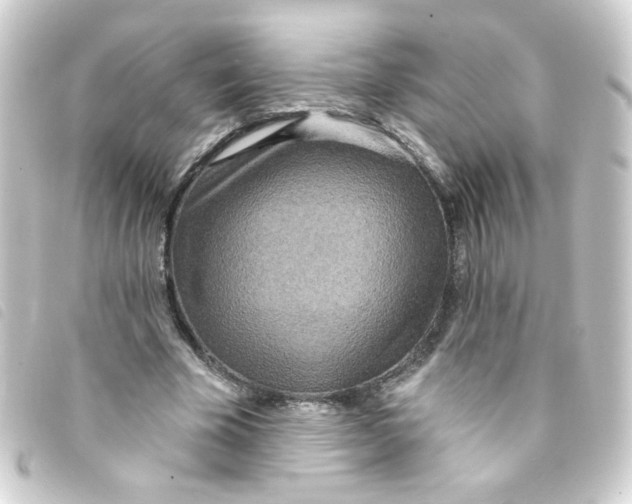 X0000093250585200710241316