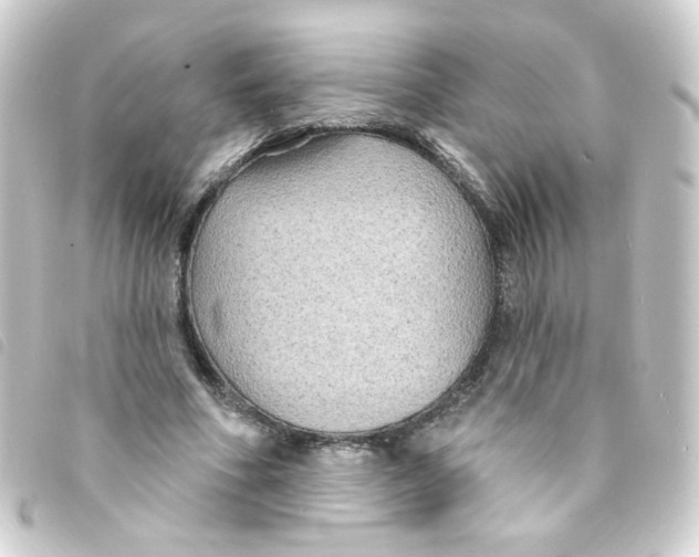 X0000093250586200710241316