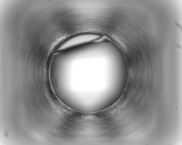 X0000093250587200710241316