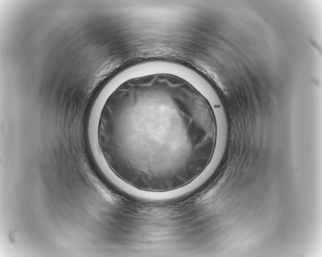 X0000093250589200710241316