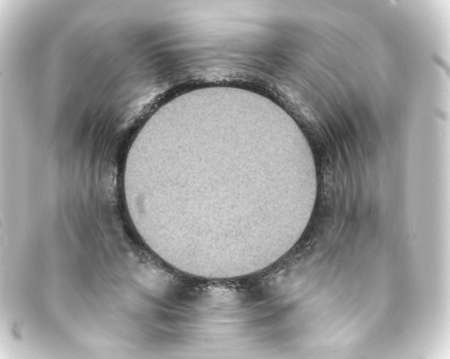 X0000093250592200710241316