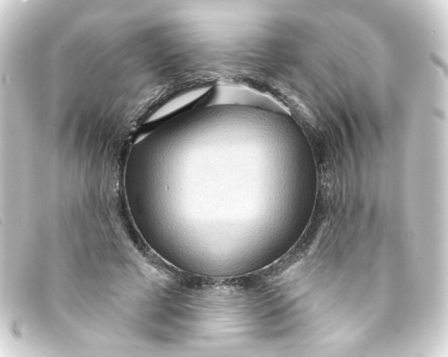 X0000093250593200710241316