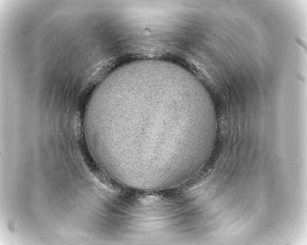 X0000093250594200710241316