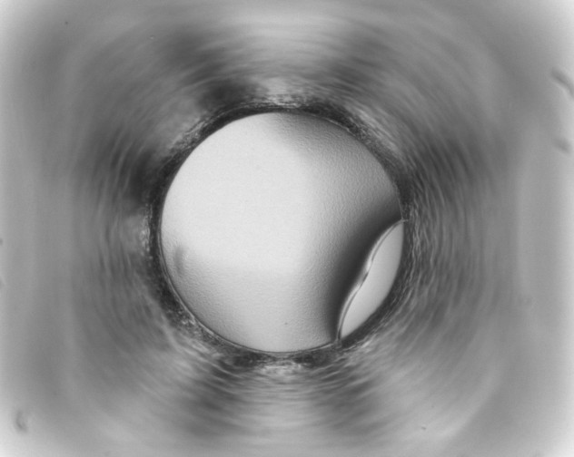 X0000093250595200710241316