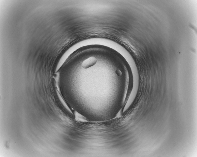X0000093250597200710241316