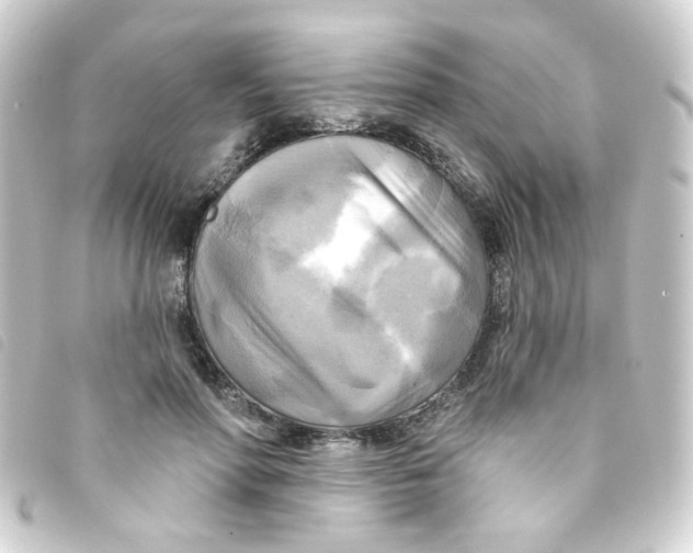 X0000093250598200710241316