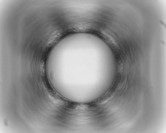 X0000093250599200710241316
