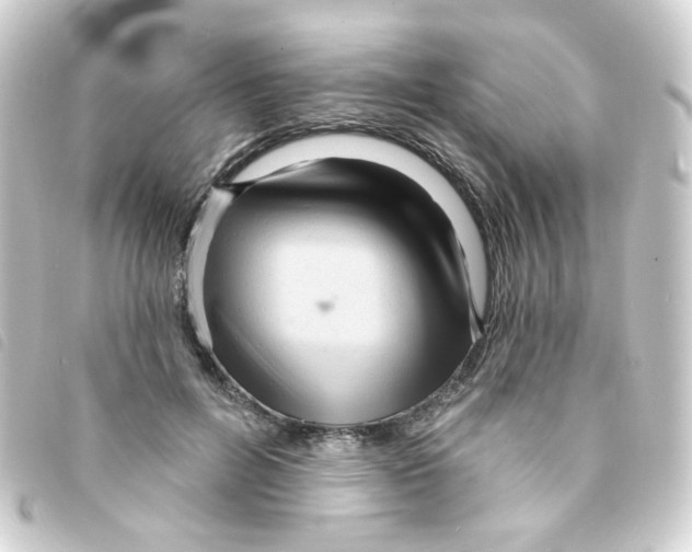 X0000093250600200710241316