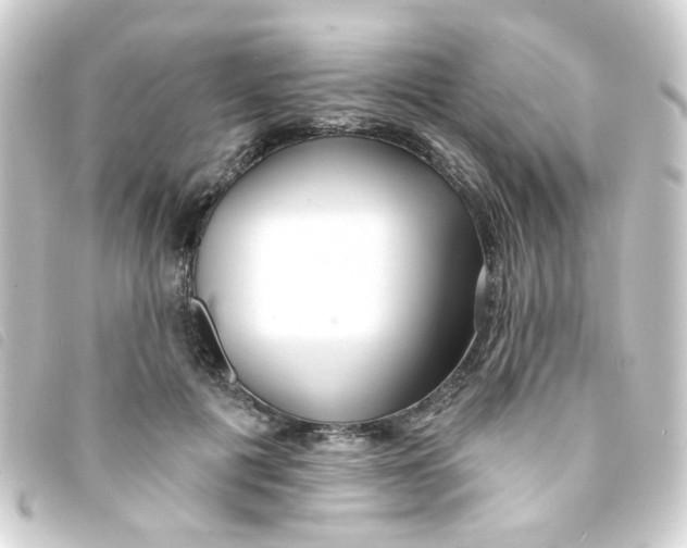 X0000093250601200710241316