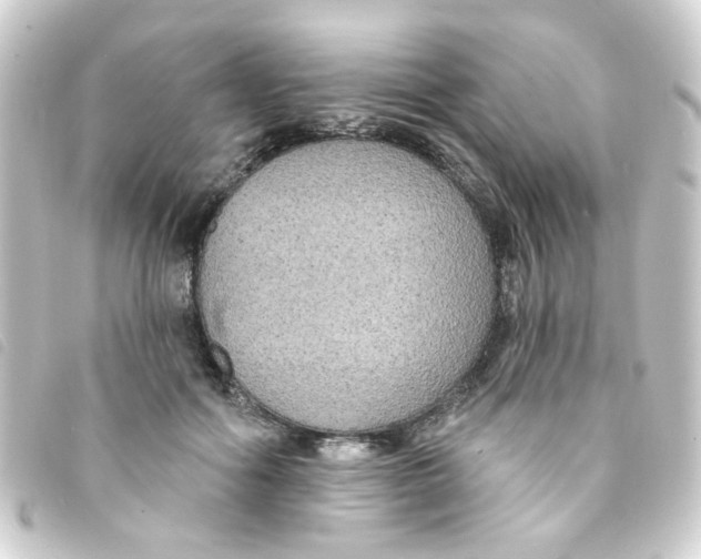 X0000093250602200710241316